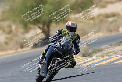 media/May-14-2023-SoCal Trackdays (Sun) [[024eb53b40]]/Turn 5 Tree of Life (1125am)/